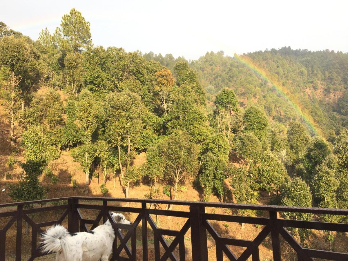 Francolin Lodge-Farmstay @ Darima Mukteshwar Bagian luar foto