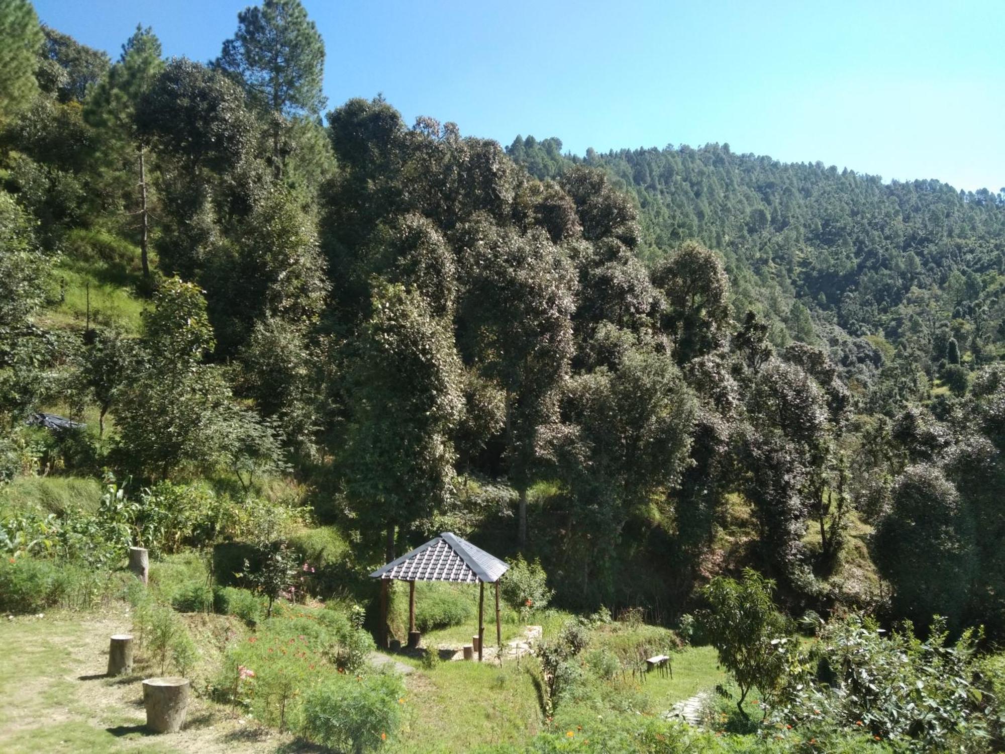 Francolin Lodge-Farmstay @ Darima Mukteshwar Bagian luar foto